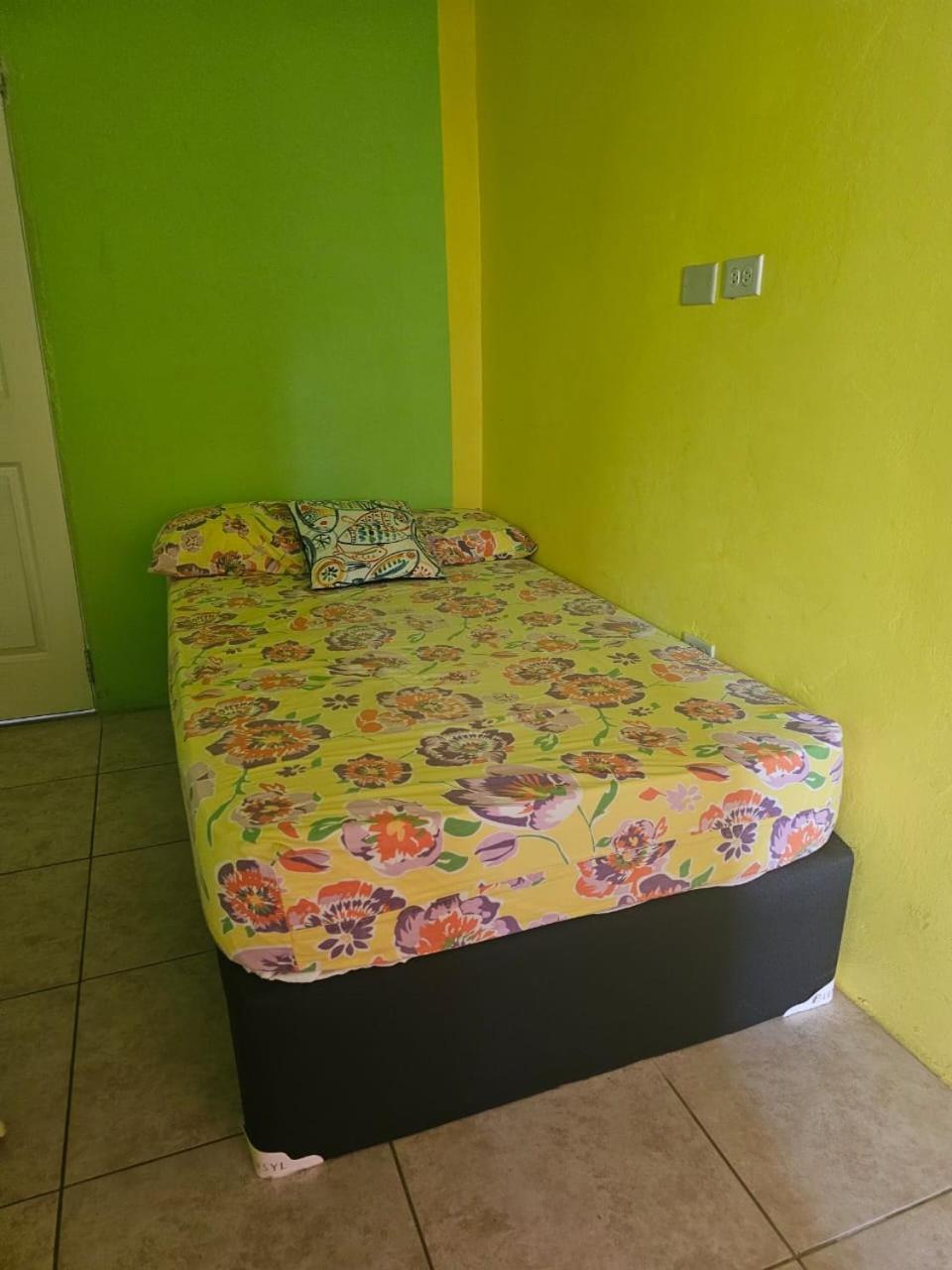 Fish Tobago Guesthouse Or Joy And Brandon Guesthouse Buccoo Quarto foto